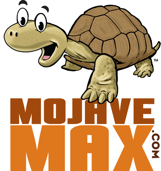 MoMax Cartoon logo with website